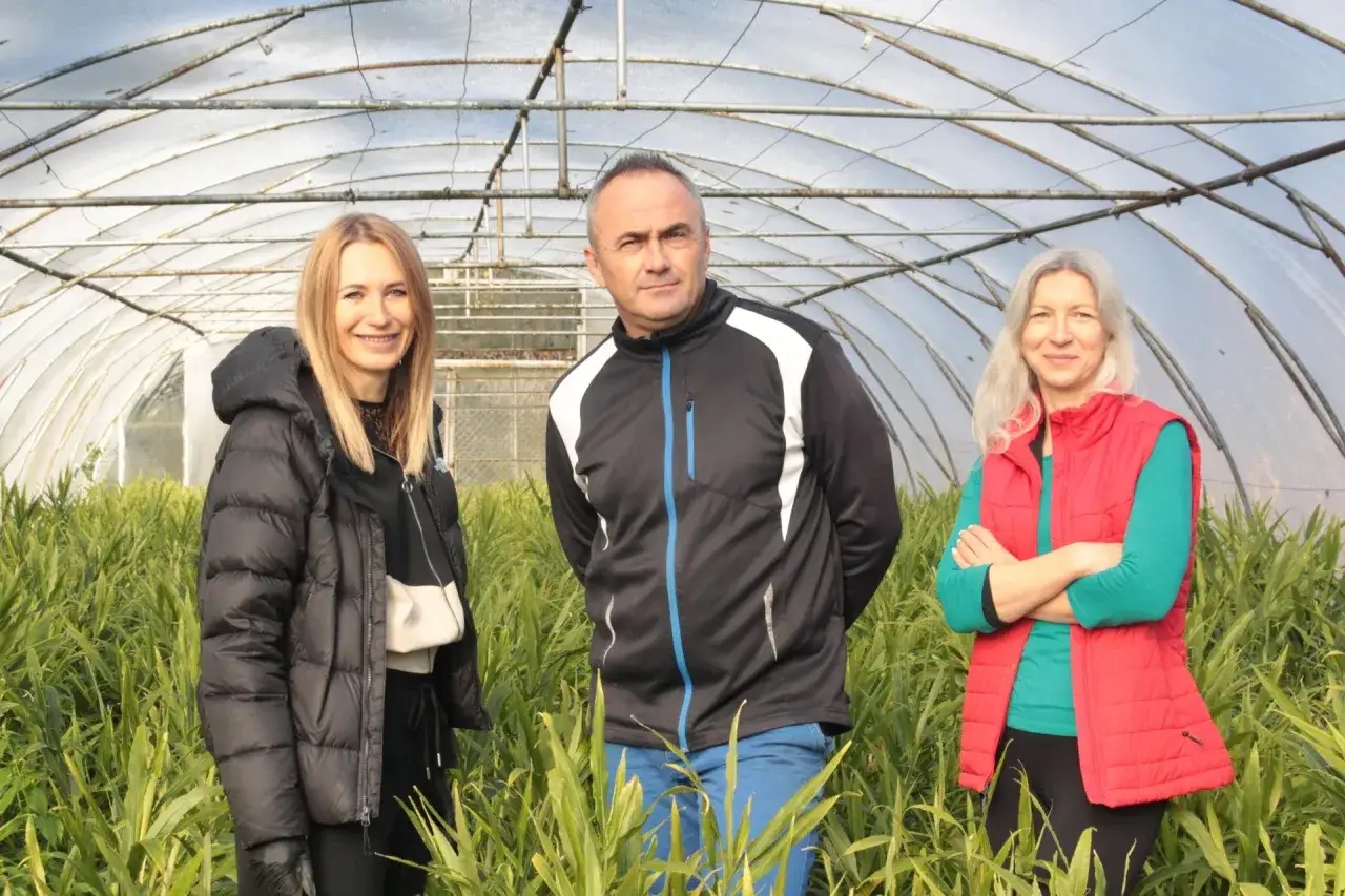 Trzy osoby w szklarni wśród zielonych roślin. Zastanawiają się, co opłaca się uprawiać na 1 ha.