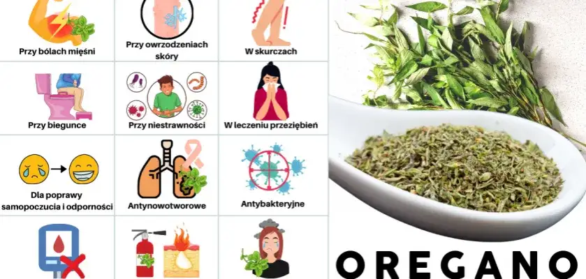 Czym zastąpić suszone oregano? Sprawdzone zamienniki, które zaskoczą