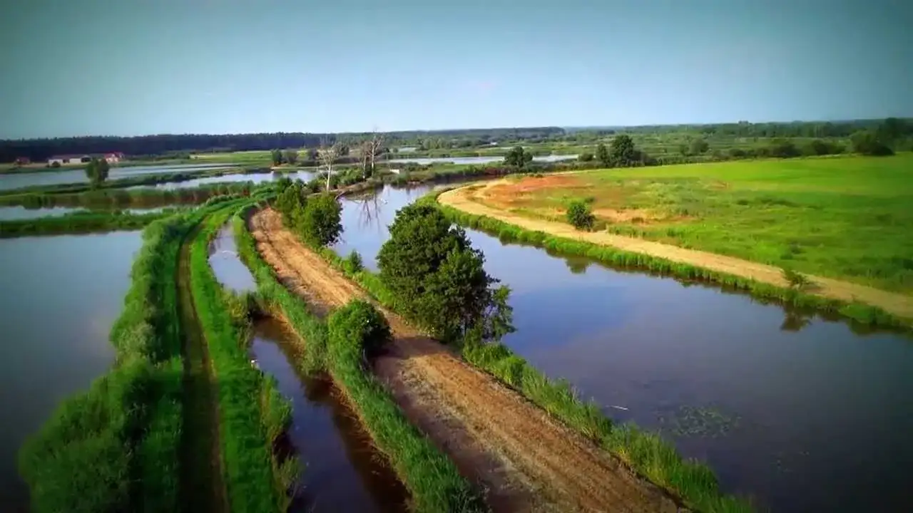Trasa rowerowa Żmigród Milicz - odkryj malowniczy szlak pełen przygód