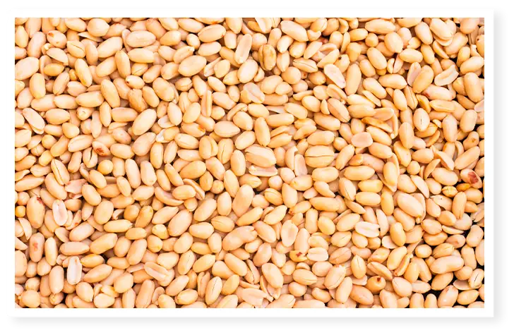 Maîtrisez les cacahuètes grillées non salées : sain, facile, délicieux