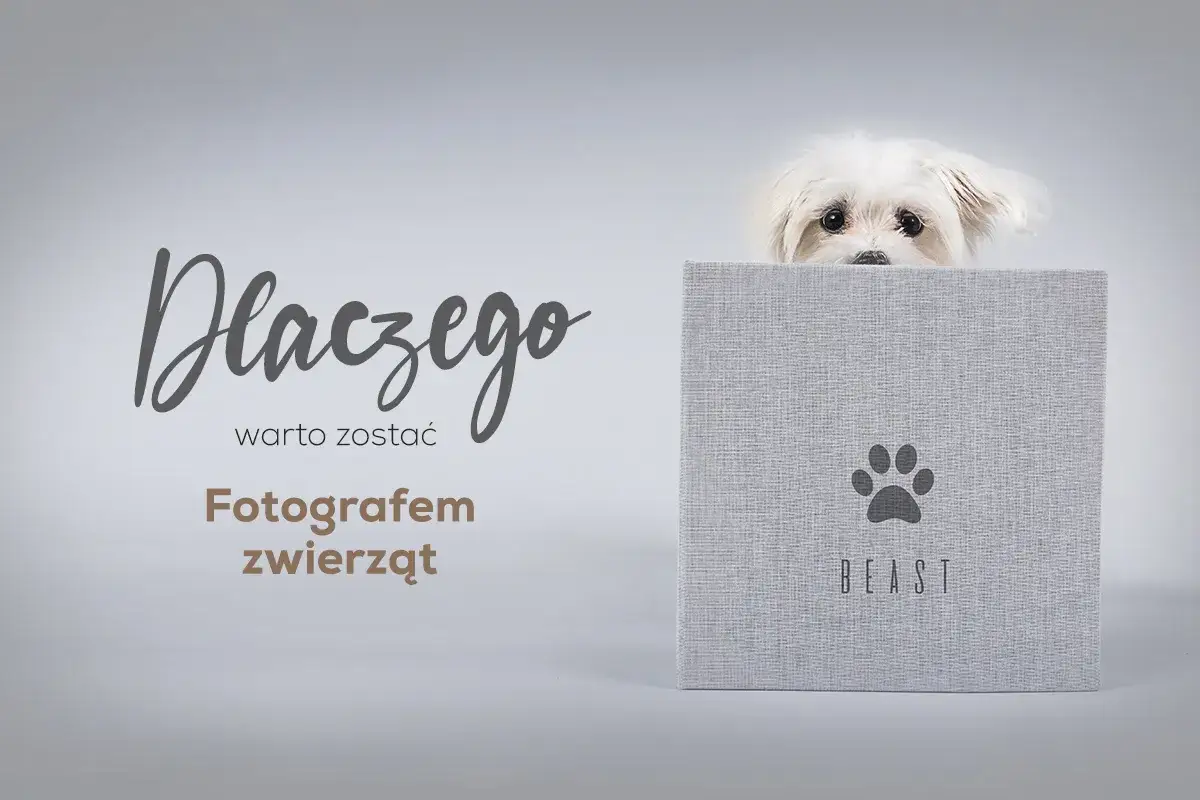 Ile zarabia fotograf zwierzęcy? Zaskakujące fakty o wynagrodzeniu