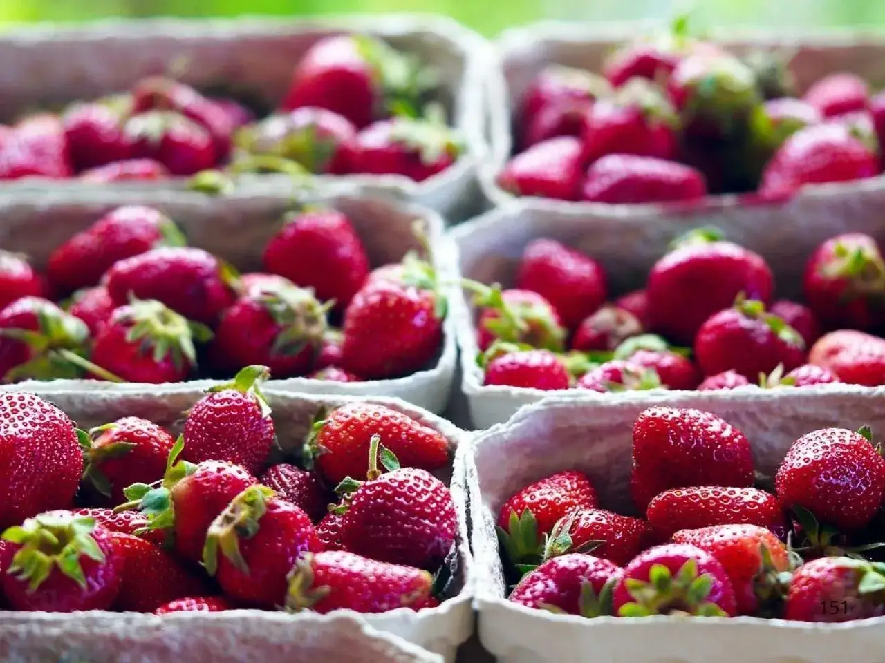 Kilka kartonowych wytłoczek wypełnionych dojrzałymi, czerwonymi truskawkami.