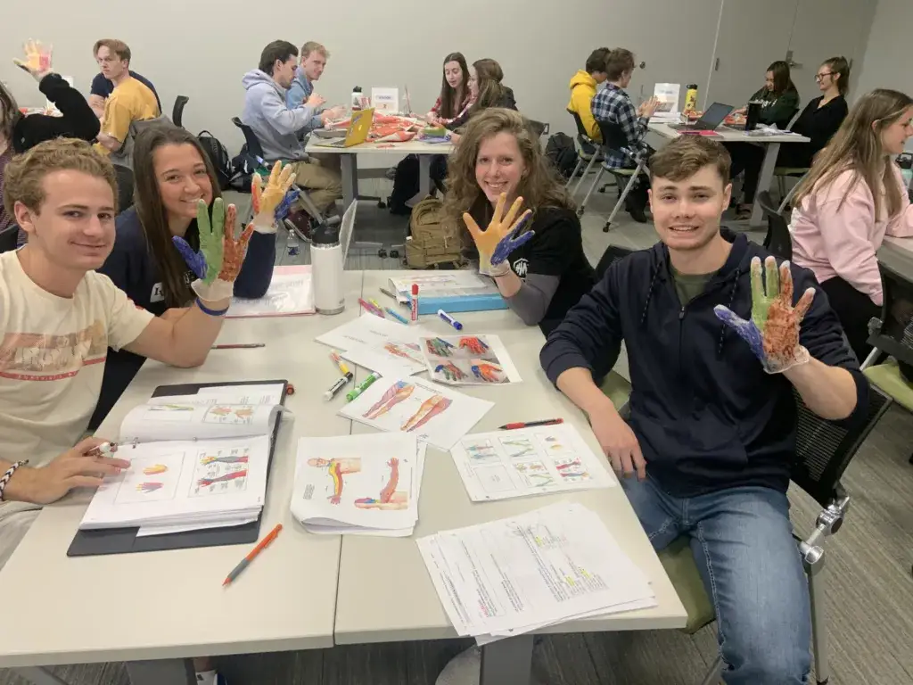 Czy technik fizjoterapii może pracować samodzielnie? Prawda o uprawnieniach