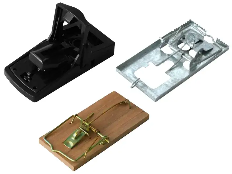 Skuteczne metody na pozbycie się gryzoni z poddasza bez bólu