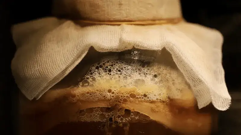 Kombucha: Jak przechowywać, by nie wybuchła i smakowała?