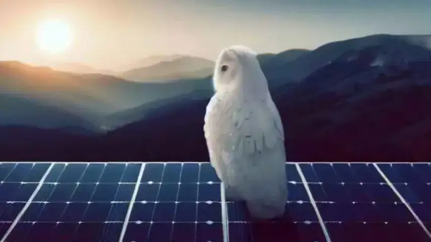 Ile można zarobić na instalacji fotowoltaicznej? Sprawdź realne zyski