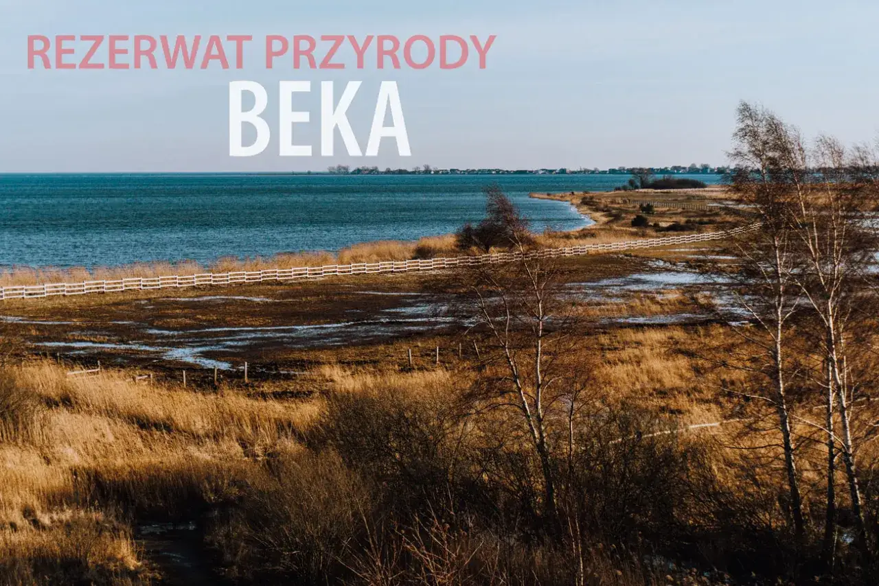 Reda ile do morza - najkrótsza trasa do Zatoki Puckiej i atrakcje