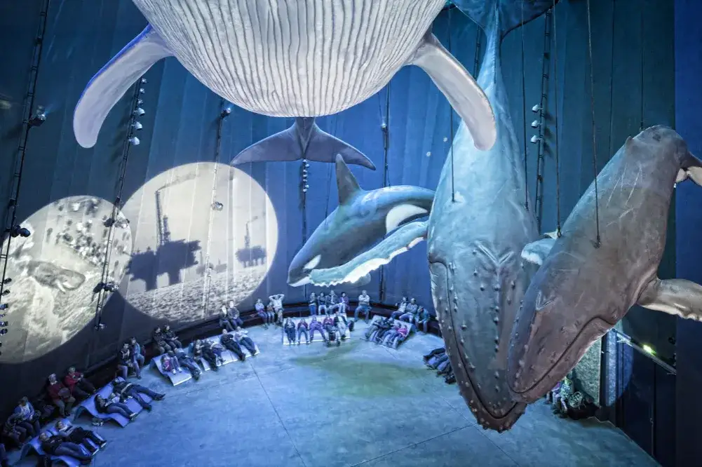 Ozeaneum w Stralsundzie: Fascynujące życie morskie na wyciągnięcie ręki