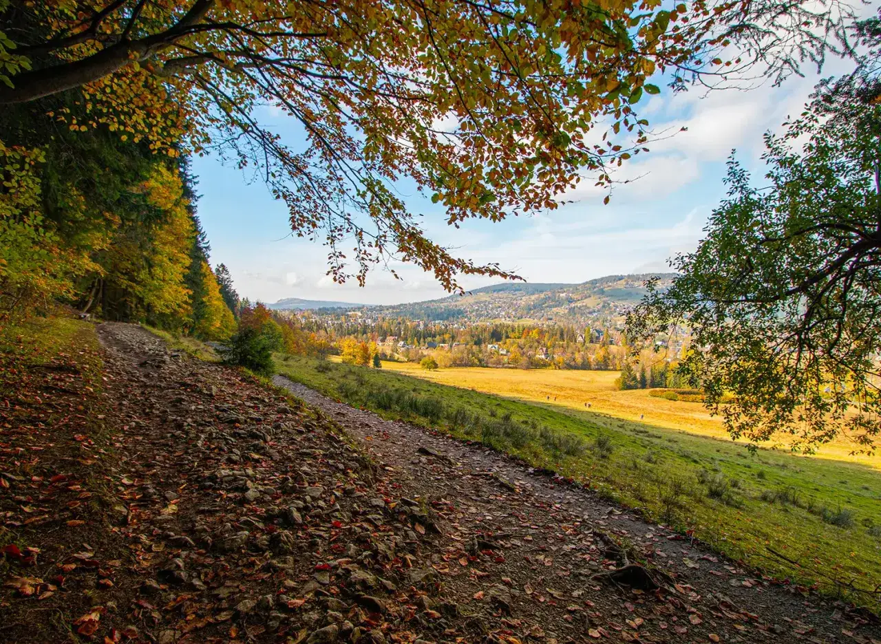 Zakopane: Co zwiedzić? Przewodnik po atrakcjach i wskazówki eksperta
