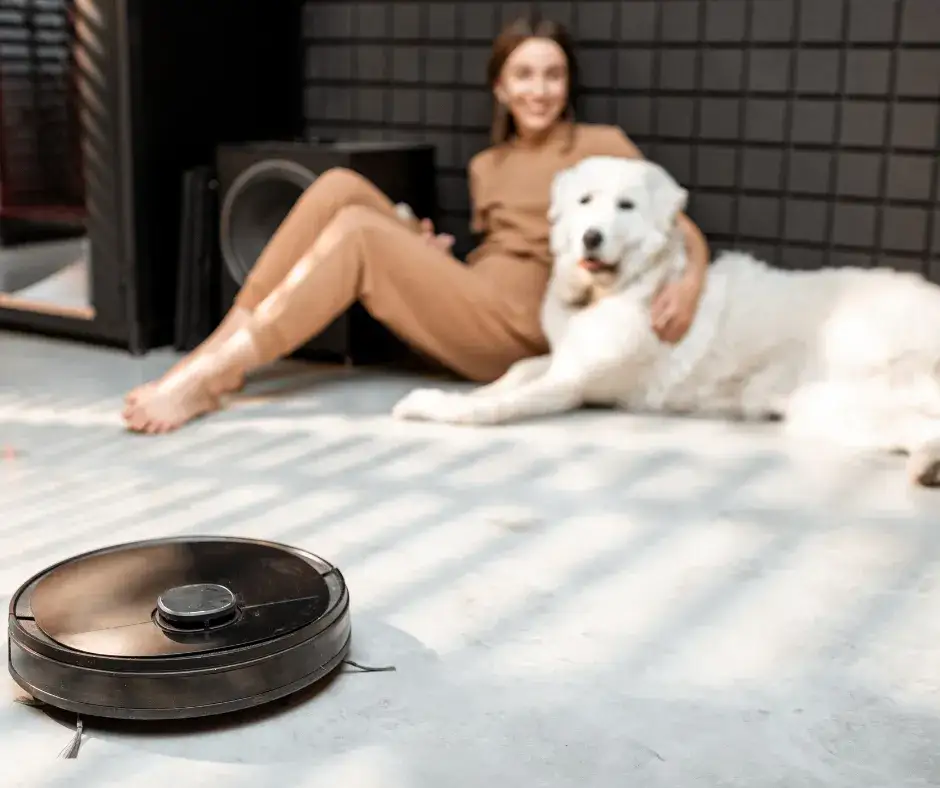 Skuteczne sposoby, jak pozbyć się sierści z koca bez wysiłku