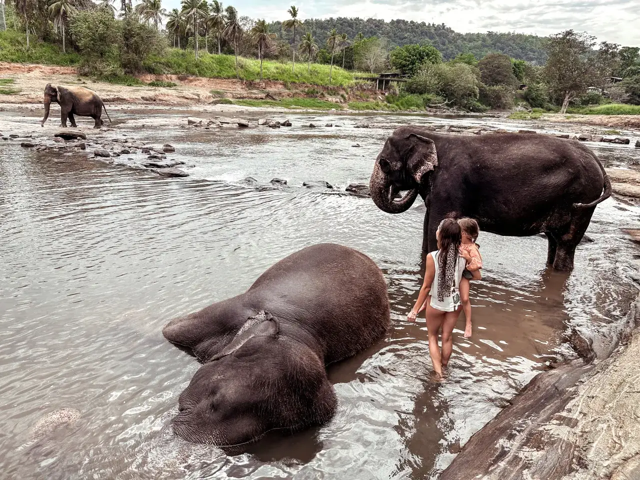 Sri Lanka: Co warto zobaczyć? Przewodnik po Perle Oceanu