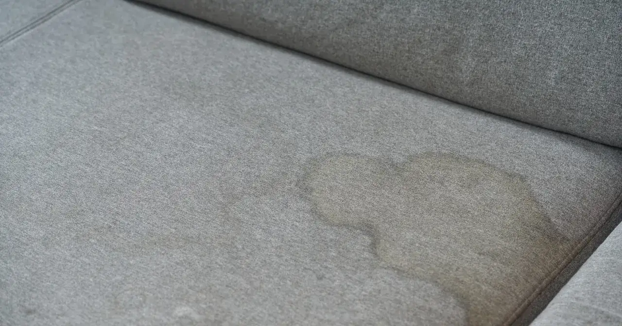 Plama na szarej kanapie. Dowiedz się, jak wyczyścić kanapę domowym sposobem, aby przywrócić jej świeżość.