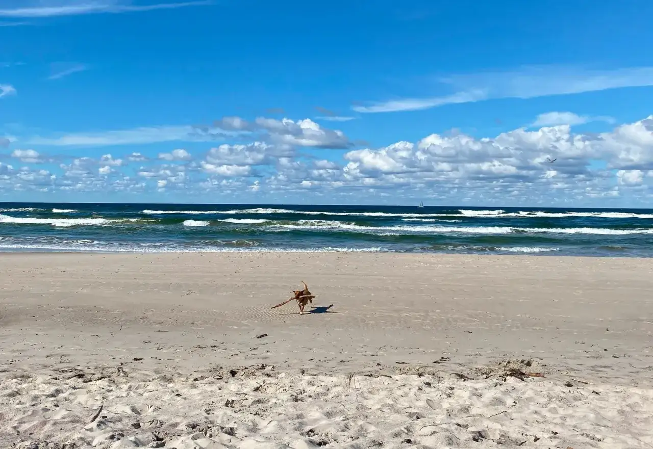 Kołobrzeg: Czy warto? Analiza wad i zalet przed Twoim urlopem