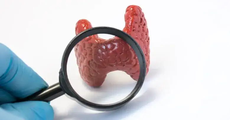 Jakie badanie z krwi na tarczycę? Kluczowe testy dla zdrowia tarczycy