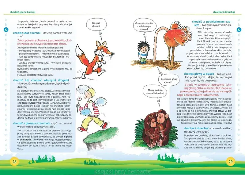 Ośle uszy frazeologizm – co naprawdę oznacza i jak go używać?