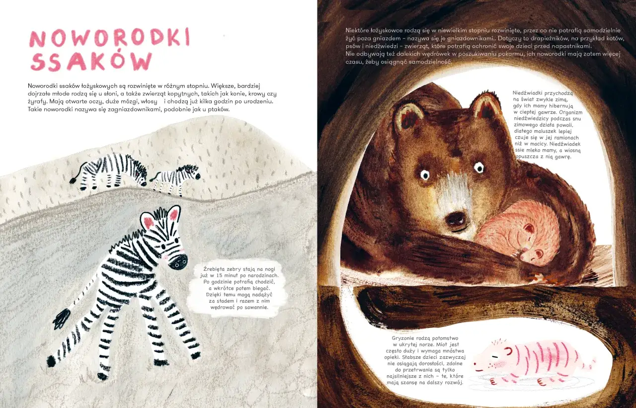 Jak rozmnażają się ssaki? Odkryj zaskakujące metody i cechy