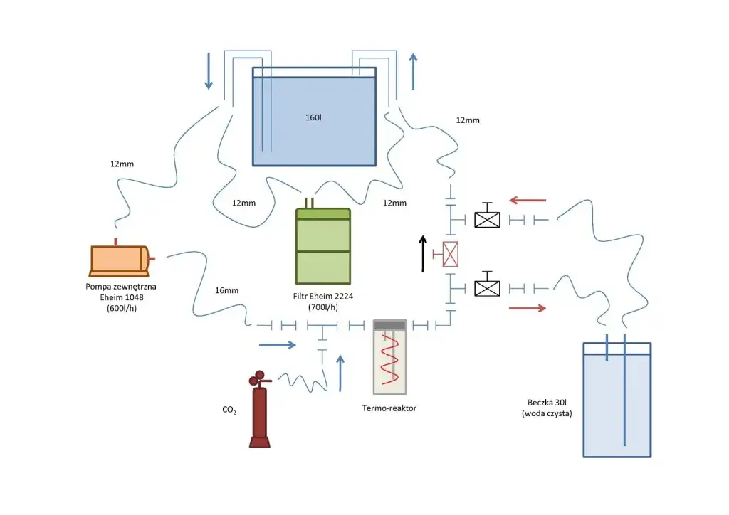 Czysta woda w akwarium? Zbuduj własny filtr DIY krok po kroku!