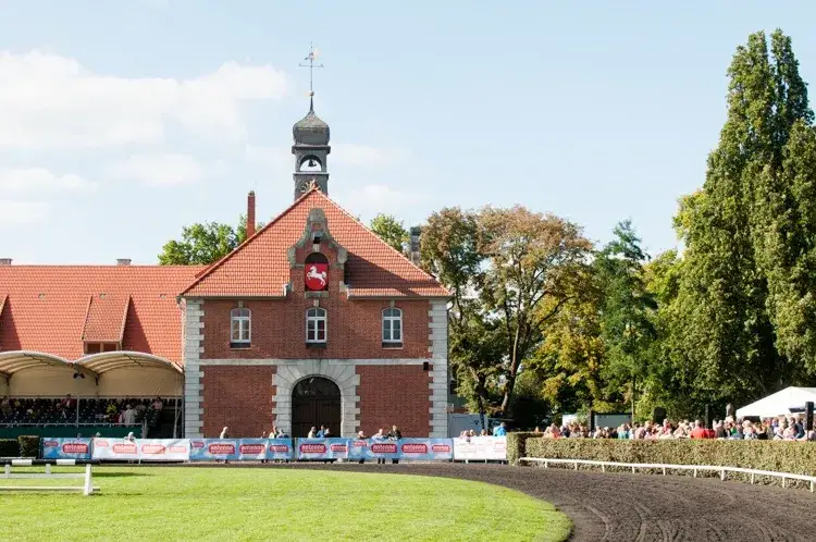 Samiec w stadninie: Poznaj znaczenie ogiera i innych terminów