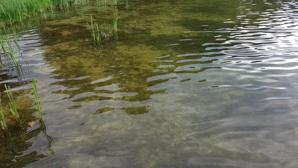 Jezioro Korytnickie – odkryj atrakcje i możliwości rekreacji