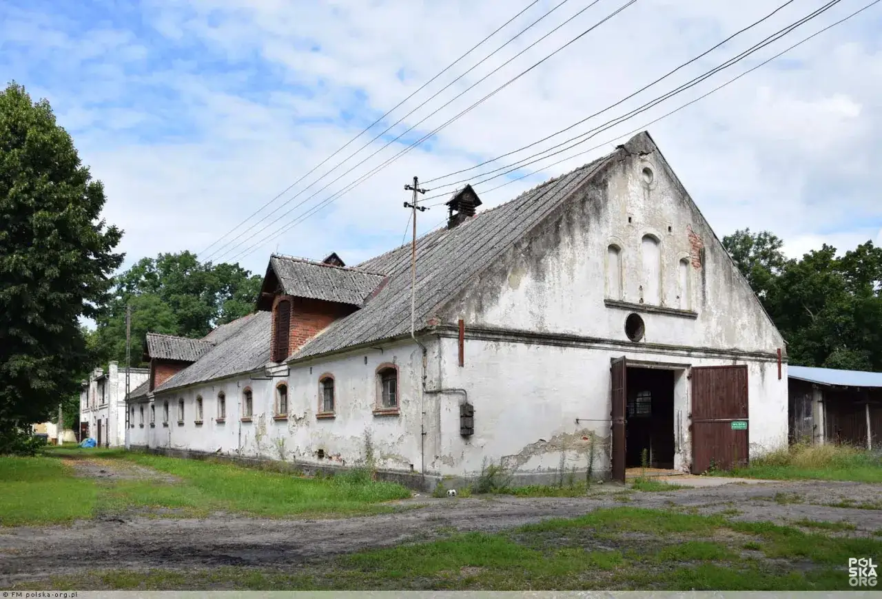 Stadnina Koni Golejewko: Odkryj legendę i pełną ofertę