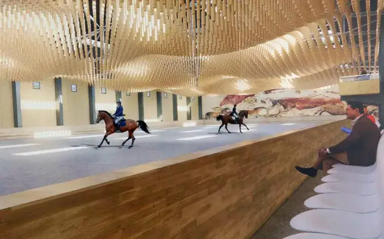 Lubelska Fundacja Jeździectwa: Odkryj świat koni dla dzieci i młodzieży!