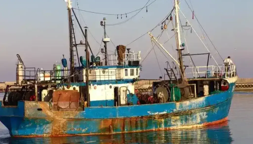 Co pływa w Bałtyku? Odkryj tajemnice ryb i ich zagrożenia