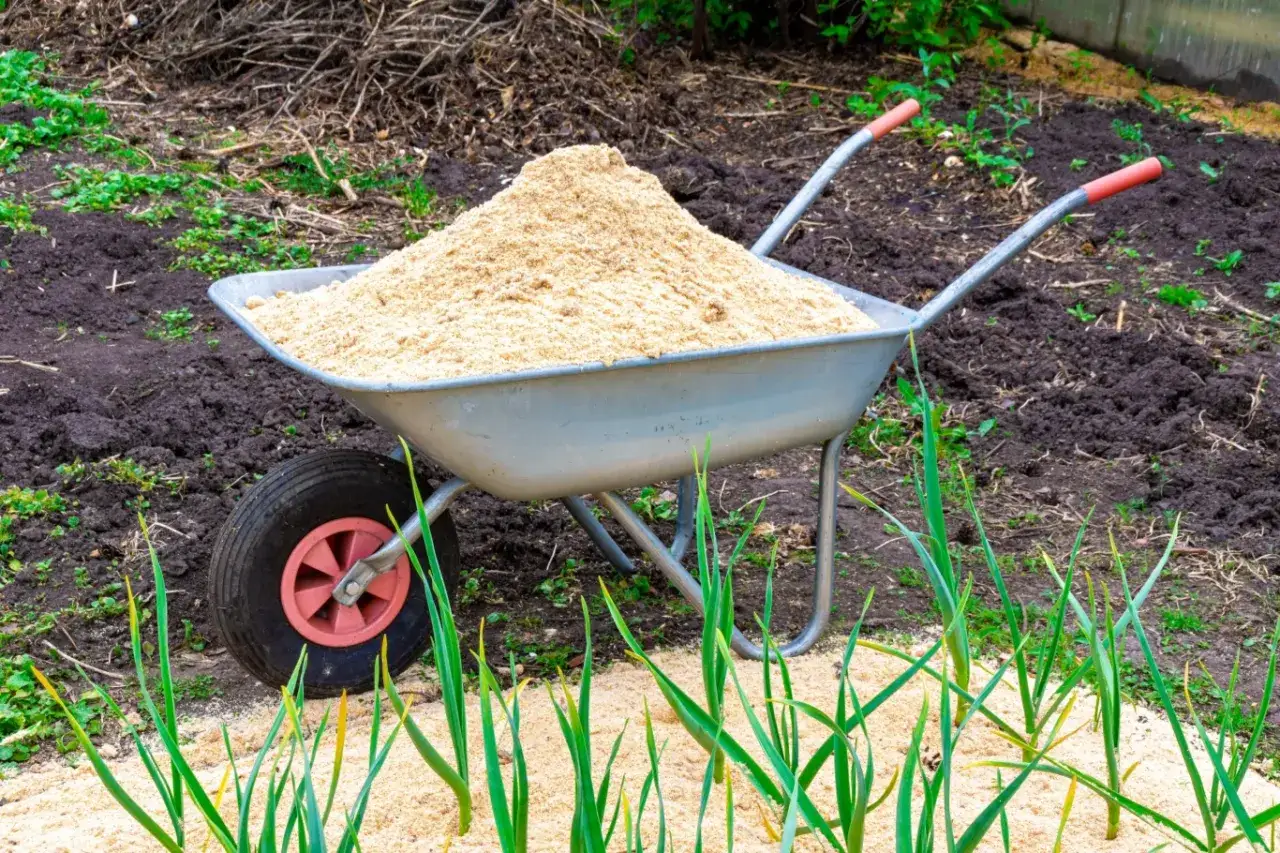 Trociny w ogrodzie: Jak używać mądrze i bezpiecznie?