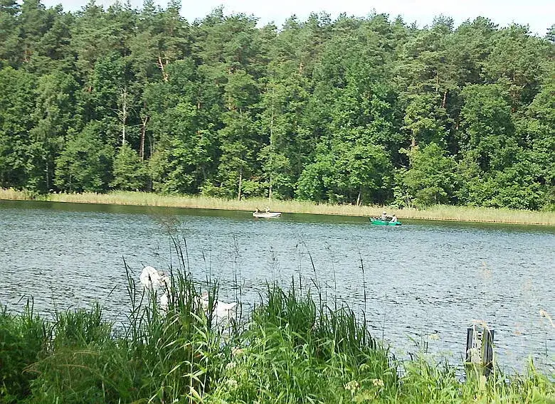 Jezioro Dworackie: raj dla wędkarzy i miłośników przyrody