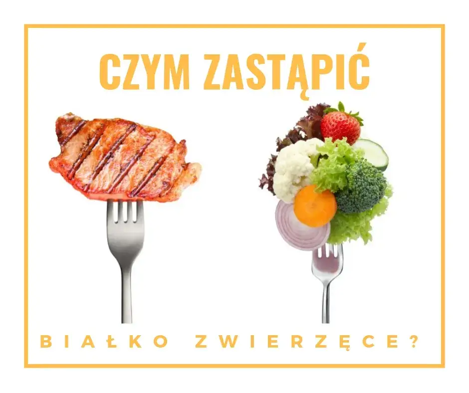 Czym zastąpić białko w diecie wegetariańskiej? Pełny przewodnik!