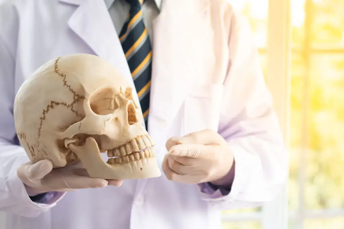 Jak uczyć się anatomii? Opanuj ją mądrze, nie ciężej!