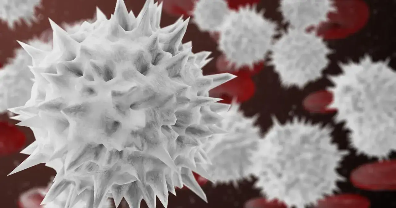 Leukocyty 20 tys. - Co oznacza ten wynik i kiedy jest groźny?