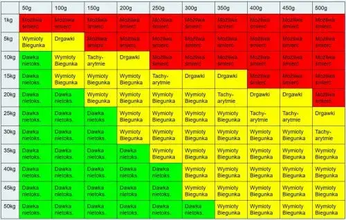 Zatrucie czekoladą u psa: Objawy, pierwsza pomoc, zapobieganie