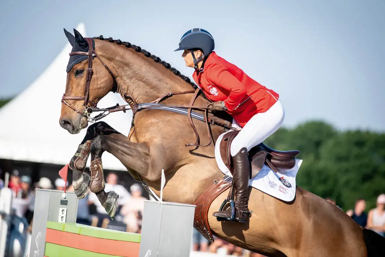 Najlepsze stadniny koni w Szczecinie – sprawdź oferty i usługi