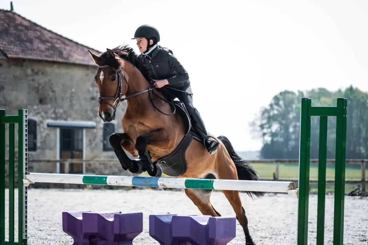 Jeździec w kasku i czarnej kurtce pokonuje przeszkodę na brązowym koniu. Czy jazda konna odchudza? Ten sport to świetny trening!
