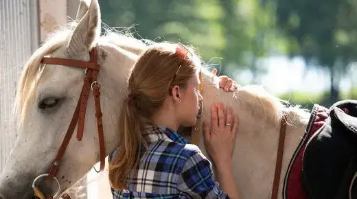 Najlepsze stadniny koni w zachodniopomorskim - jazda konna dla każdego