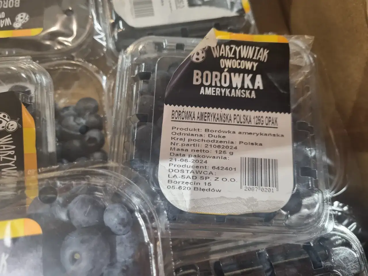 Kiedy sezon na borówki w Polsce? Daty, ceny, gdzie kupić!