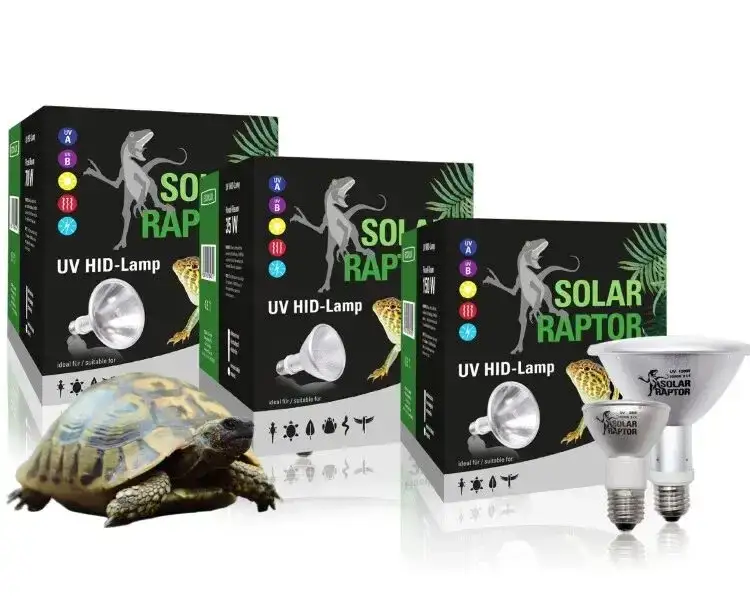 Najlepsza żarówka dla żółwia: Jak zapewnić zdrowie i komfort?