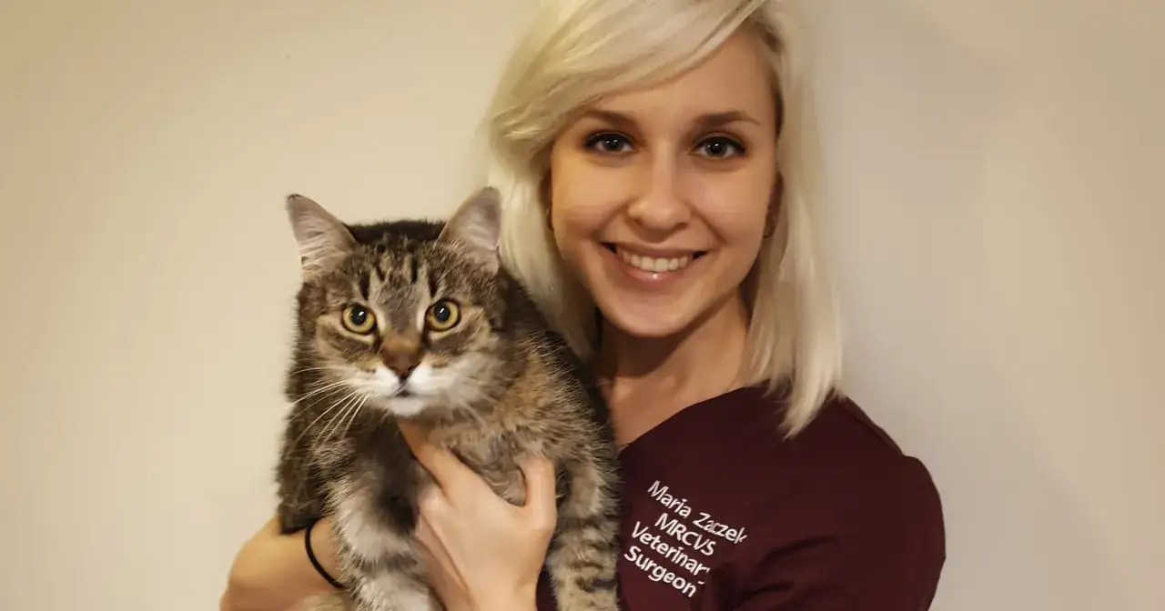 Ile zarabia weterynarz w Anglii? Zaskakujące różnice w wynagrodzeniach