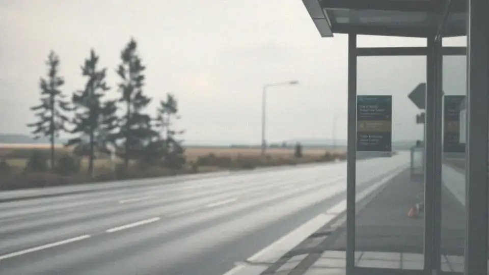 Jak dojechać z Gdańska do Stegny - najwygodniejsze opcje transportu