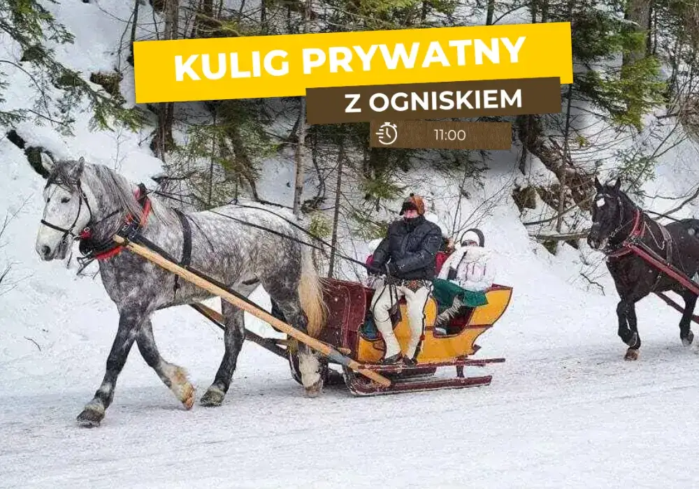 Przejazd konny w Dolinie Chochołowskiej: trasa, ceny, godziny otwarcia