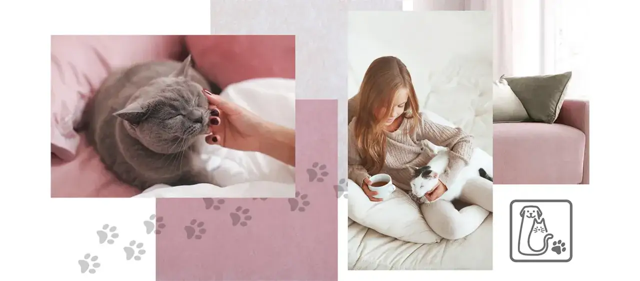 Kanapa dla kociarza: Jakie tkaniny przetrwają kocie pazury?