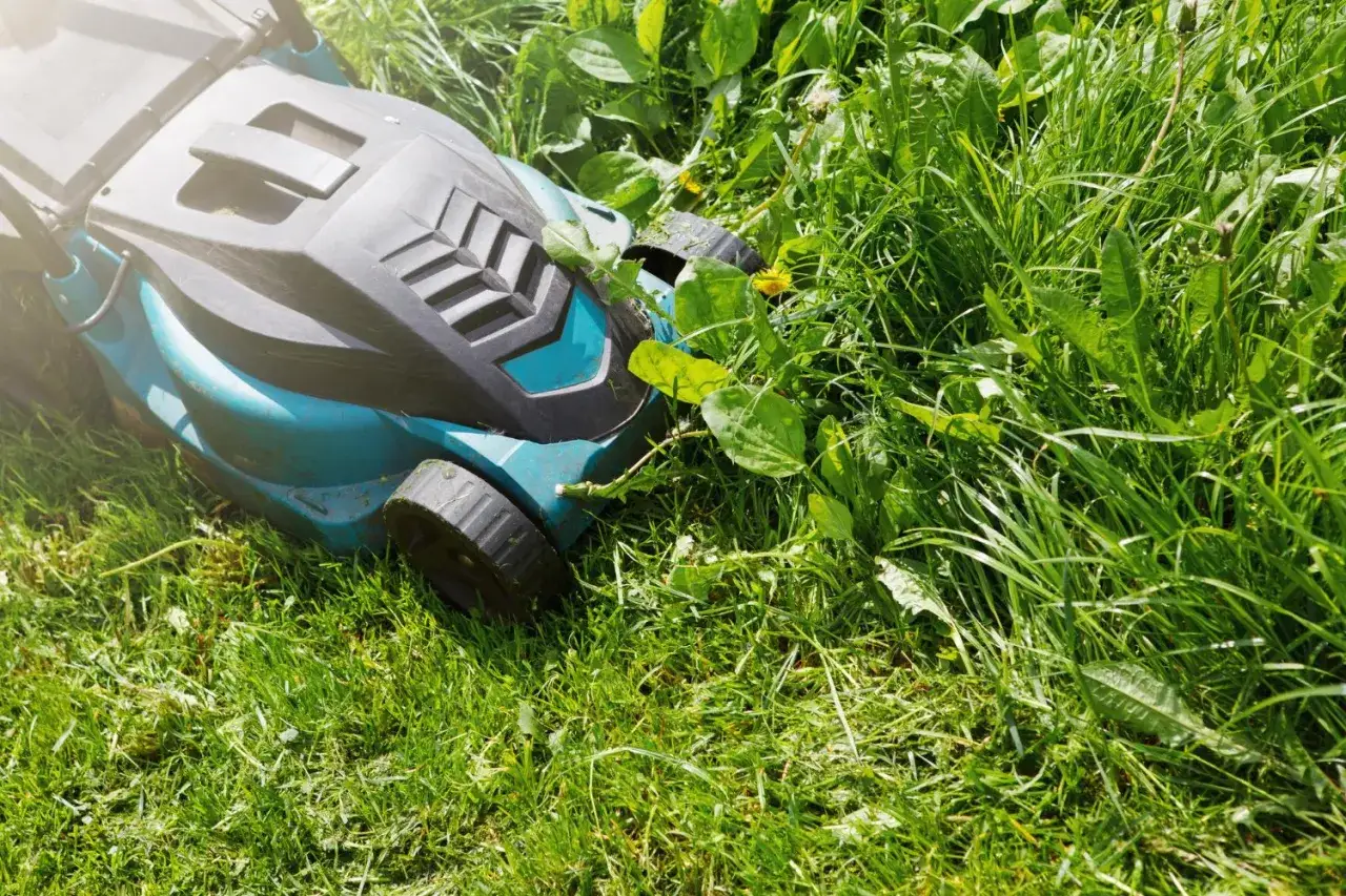 Nóż w kosiarce jaki gwint - uniknij błędów przy wymianie noża