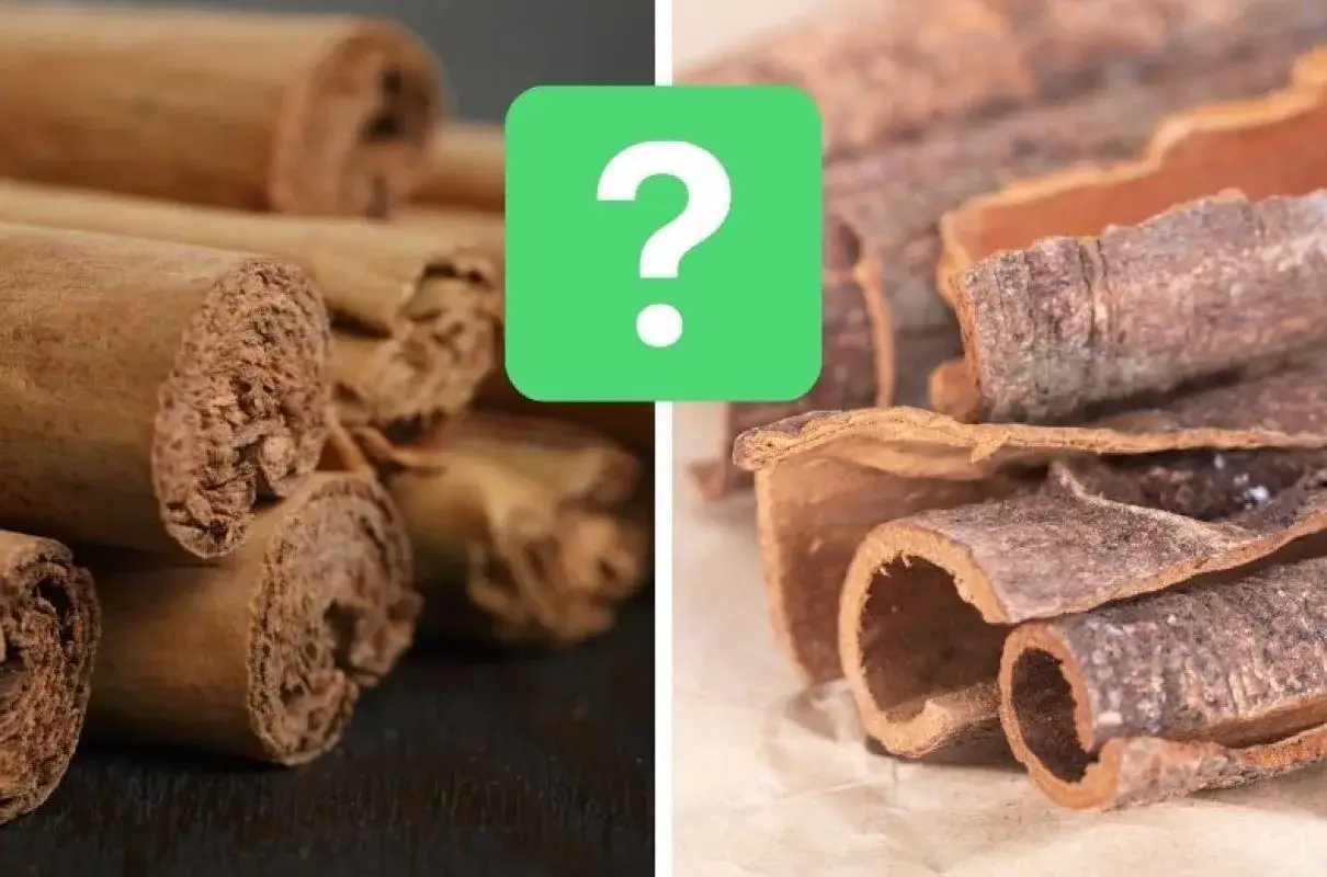 Cynamon na ślimaki: Mit czy skuteczny trik? Poznaj prawdę!