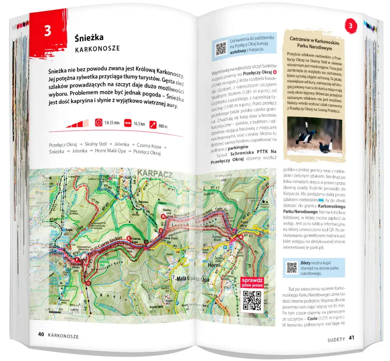 Najpiękniejsze szlaki turystyczne w Sudetach: kompletny opis górskich tras