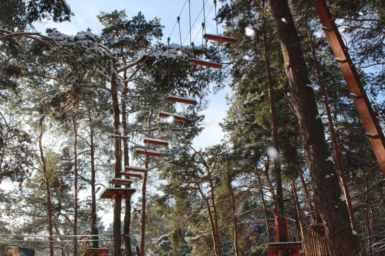 Park linowy Kielce: Który wybrać? Przewodnik dla rodzin!