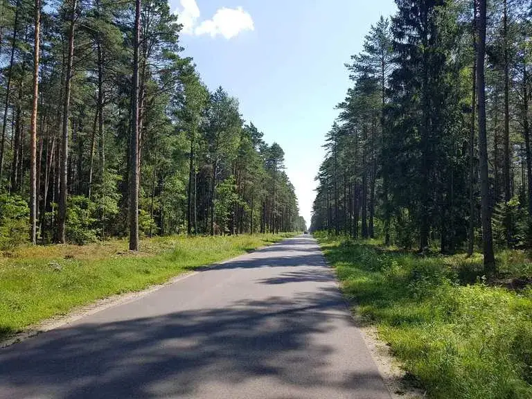 Wielbark atrakcje: odkryj niezapomniane miejsca i aktywności