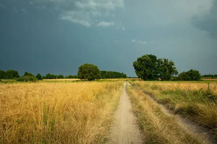 Jak to działa klimat i pogoda? Zrozum różnice i ich wpływ