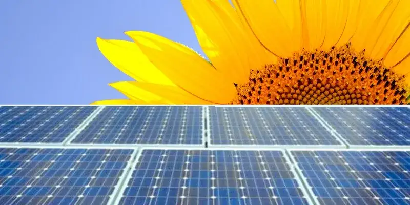 Panele słoneczne co to jest? Poznaj ich działanie i korzyści