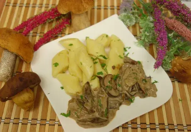 Jaka surówka do sosu grzybowego? Odkryj idealne połączenia!