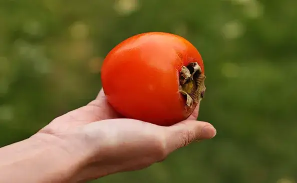 Ile kaki ma kalorii? Zaskakujące fakty o kaloryczności tego owocu